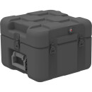 Caso ISP² EU040040-2010