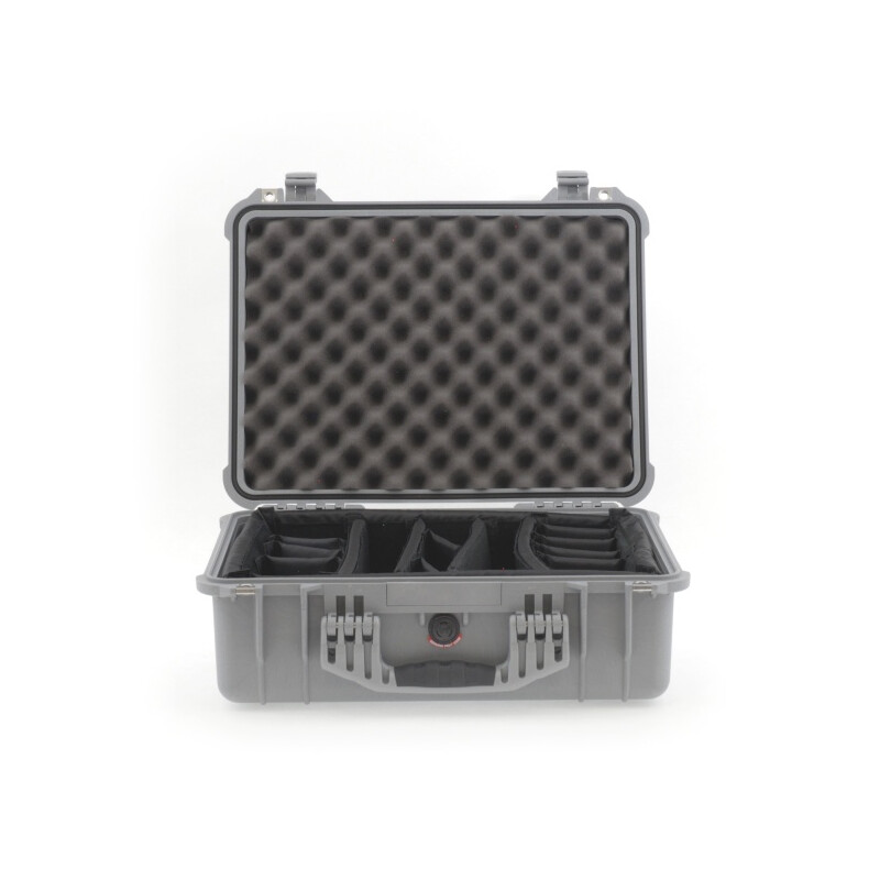 Peli Case 1520 avec système de compartimentation, argent