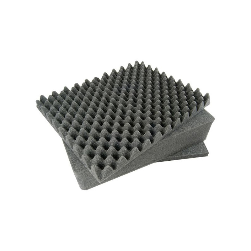Peli Case 1500 with foam, black
