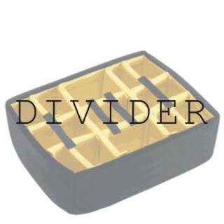 Divider (Einteiler)